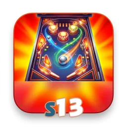 s13